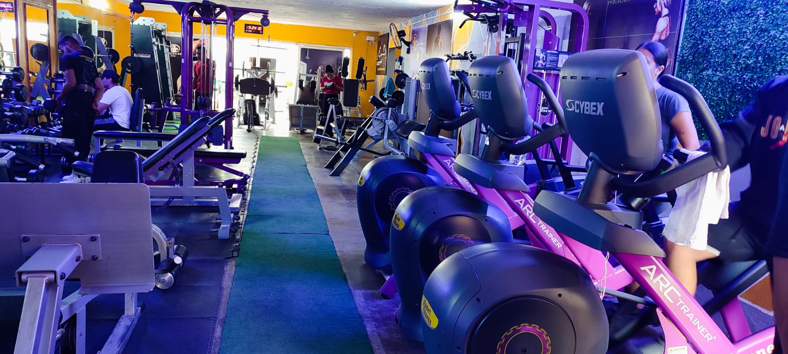 Área de pesas – Evolución Gym Chapala